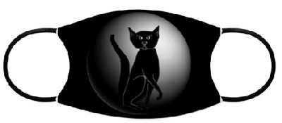 Black cat sits against the full moon in the background making it seem he's sitting inside it.