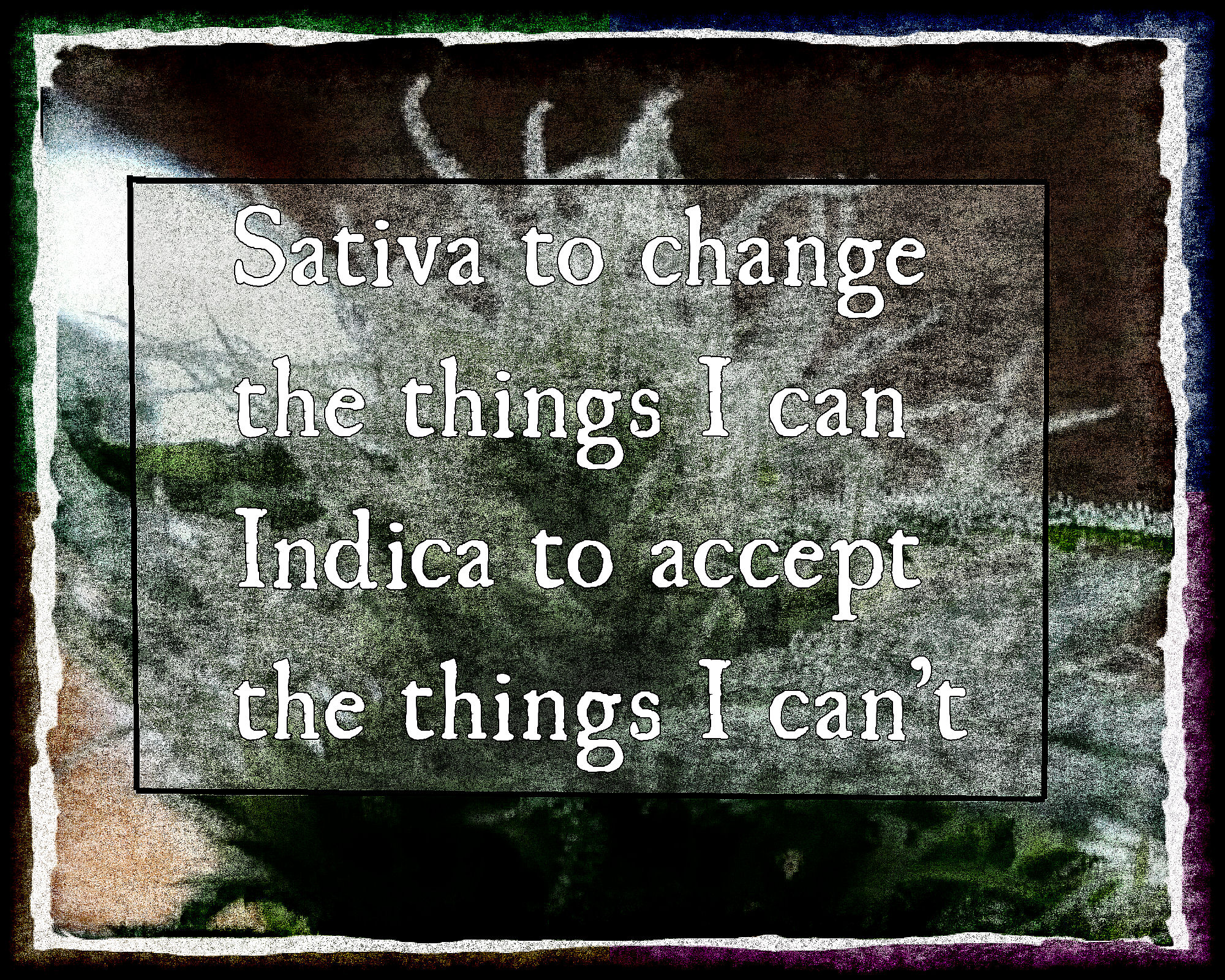 Sativa for the things I can change. Indica for the things I can't.